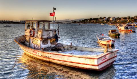 fishing boats in harbour